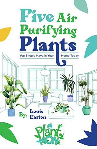Five Air Purifying Plants You Should Have in Your Home Today