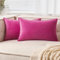 EMEMA Samt Kissenbezug Kissenhülle 30x50 cm Dekorative Sofakissen Dekokissen Umwickelte Kante 2er Set Kissenbezüge Zierkissenbezug für Sofa Wohnzimmer Schlafzimmer Rose Rot