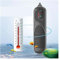 TETEOM Chauffage Piscine, Chauffage d'aquarium Submersible 1000W, Affichage LCD, Thermostat Intelligent PTC, Tige de Chauffage de l'eau à température constante réglable(100W)