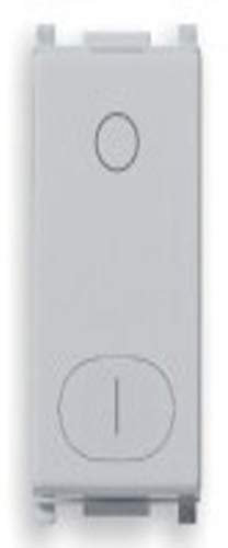 Interruttore Vimar Plana Silver 2P 16Ax 14015.Sl