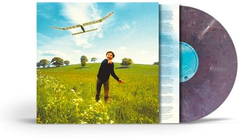 Who We Used To Be [Vinyl LP]