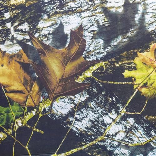 0,5m Neopren Stoff Motivdruck Doubleface 3mm Stretch 135cm breit Meterware Motivwahl, Motiv:Blätter