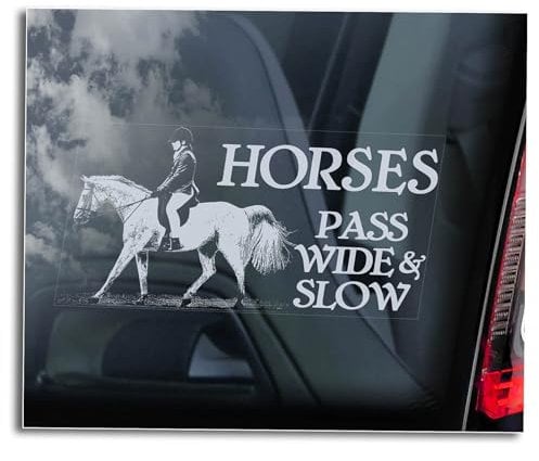 'HORSES Pass Wide and slow' Car Sticker, Horse Safety Window Sign, Slow Down Horse Decal, Equestrian Riding Gift -V06 (External - White Print)