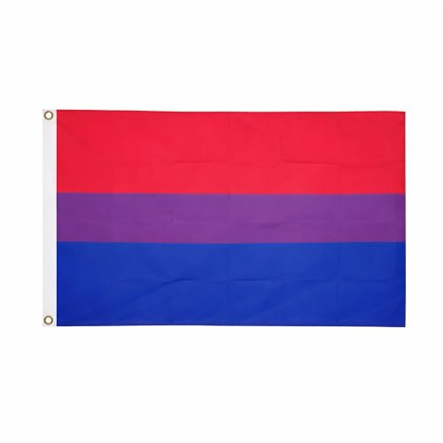 Brick Takeover Regenbogen Flagge 150cm x 90cm, mit Metallösen (Bi*sexuell Pride Flag)