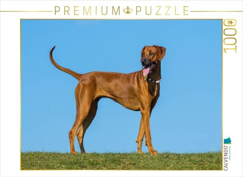 CALVENDO Puzzle Rhodesian Ridgeback | 1000 Teile Lege-Größe 64 x 48 cm Foto-Puzzle für glückliche Stunden