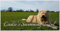 Hundehandtuch mit hochgeladenem Bild und Wunschtext