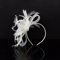 Fascinator Damen Hut Vintage Brautschleier Hochzeit Haarschmuck Feder Kopfschmuck Schleier Bankett Mesh Hut Karneval Haarspangen Elegant Haarclip Fasching Haarklammer Haarreif für Cocktail Tea Party