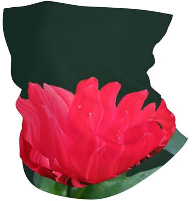 Rote Dahlie, Bandana-Halstuch, weiche Gesichtsabdeckung, Nackenwärmer, Schlauch, Halbgesichtsmaske