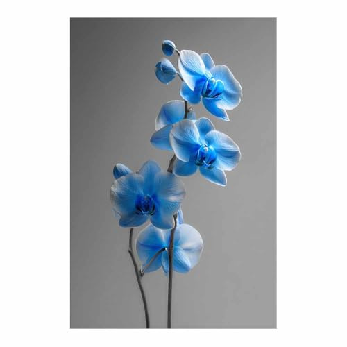 ZAMAEIU Botanische Bilder Orchideen auf Ästen wandbilder, Für Wohnzimmer, Schlafzimmer, Café, Hotel usw.(blau130)-30x50cm Ungerahmt