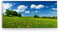 Paul Sinus Wandbild 120x60cm Landschaftsbild Wiese Bäume Natur Sommer blauer Himmel