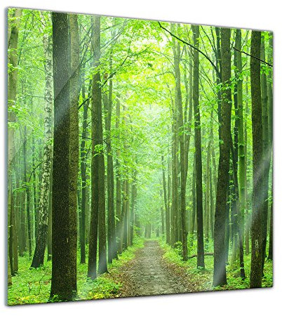 Glasbild - Waldweg - 30x30 cm - Deko Glas - Wandbild aus Glas - Bild auf Glas - Moderne Glasbilder - Glasfoto - Echtglas - kein Acryl - Handmade