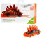 Hot Wheels FXB09 iD Die-Cast 1:64 Motosaurus