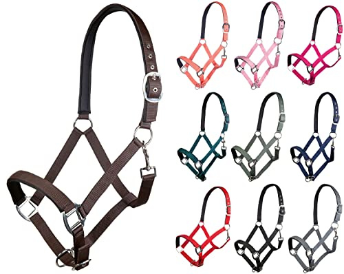 HKM Charming Halfter B5500 Jagdgrün Warmblut