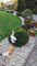 4myBaby GmbH Best for Garden Flusskiesel umweltfreundlich Kies Splitt Natur bunt für Beete, Wege & Gartenteiche Zierkies 10 kg-500 kg zur Auswahl (10kg)