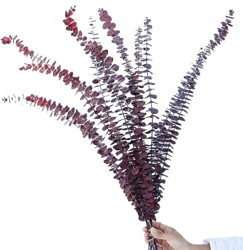 WANYI 10 Stück Eukalyptus Getrocknet Natürlich Trockenblumen Eukalyptus Deko 40CM-50CM Trockenblumenstrauß Eukalyptus Pflanze für Hochzeit Heimdekoration Tischdeko Blumenarrangements (Rot)
