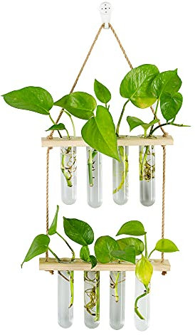 Hängende Vermehrungsstation Für Pflanzen Wand Pflanzgefäß Indoor Moderne Glas Reagenzglasvasen Für Blumen Mit Holzregal Für Vintage Room Decor Home Office Zubehör, 8 Reagenzgläser