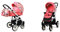 BabyLux Color Lux 2-in-1 Baby Kinderwagen Tief und Kinderwagen mit Zubehör Verstellbar und faltbar Aluminiumkonstruktion Wasserdichte Nicht abnehmbare Räder Pansies And Roses White Frame