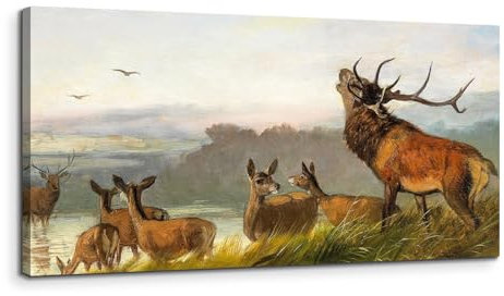 MHARTK66 Die Rivalen Leinwand Bilder, 50x100 cm Groß Wandbilder Wohnzimmer Hirsch Bild Aesthetic, Modern Tier Wanddeko Kunstdruck Schlafzimmer Badezimmer Büro Esszimmer Küche