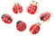 COMNESTBI 6pièces Broches Vintage Forme De Avec Cristaux Épingles Animaux Mignonnes Pour Femmes Accessoires De Mode Pour Anniversaire Noël Et Graduation
