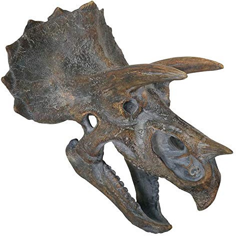 NN Wanddeko Dinosaurier Skelett Triceratops Figur Dekoration Deko Raubsaurier Wildlife