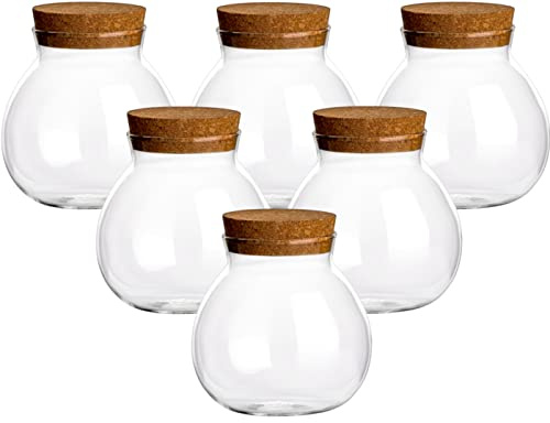 gouveo 6er Set Vorratsglas 600 ml Kugelform aus Borosilikatglas mit Korken - Vorratsdose mit Korkverschluss - Korkenglas zur Aufbewahrung von Lebensmitteln