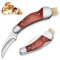 Purple Dragon Coltello per Funghi con Spazzola Coltello Portatile per Funghi con Spazzola per Funghi Coltello Tascabile per Esterni Coltello Pieghevole Buona Scelta per Chi Raccoglie Funghi
