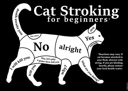 Grindstore Cat Stroking for Beginners Mini Poster schwarz