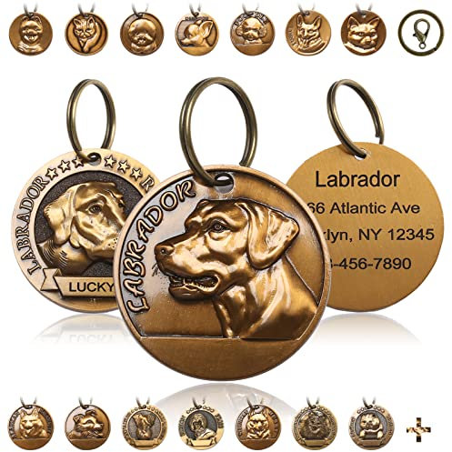 FYNIGO Hundemarke mit Gravur Personalisiert,3D-Muster für Exklusive Rassen, Personalisiertes Haustier-Namensschild,53 Rassen und 23 Farben von Katzen und Hunden,Optional Graviert auf Beiden Seiten