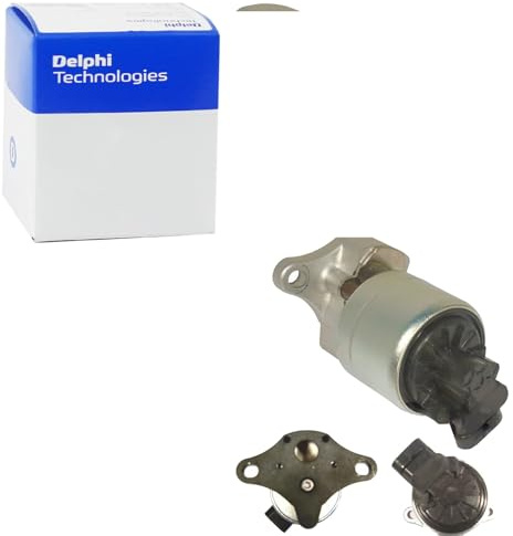 Delphi EG10256-12B1 Agr-Ventil