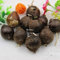 Samen Paket: 3: 50 Stücke Amaryllis Zwiebeln Bonsai Garten Decor Samen Hippeastr Startseite ^