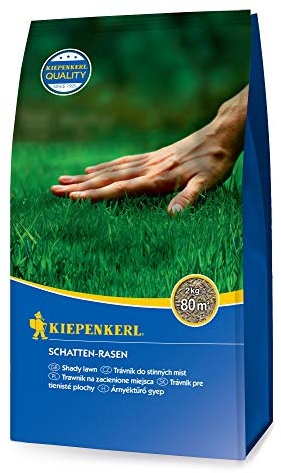 Kiepenkerl 651500 Schatten-Rasen 2 kg (Rasensamen)