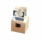 Beruyu 3D Glas Kristall Löwenzahn Briefbeschwerer, Unsterbliche Blume Würfel Glas Dekoration Ornament mit hölzernen Geschenk-Box, einzigartiges Geschenk für Familie, Kinder, Freunde, Kollegen