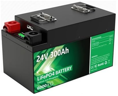 Batteria al litio LiFePO4 da 24 V 100-340 Ah, BMS integrato, 8,7 kWh, oltre 6000 cicli, Bluetooth, energia solare domestica, camper, golf cart(24V 300Ah Bluetooth)