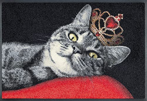 wash+dry Fußmatte, Royal Cat 50x75 cm, innen und außen, waschbar