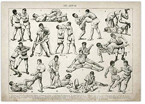 Bilder,Poster Kunstdrucke,Jiu Jitsu Poster Boxen Wrestling Fechten Kampftechnik Diagramm Vintage Print Leinwand Malerei Schwert Säbel Cane Stick Baton,Gemälde - 30X40Cm