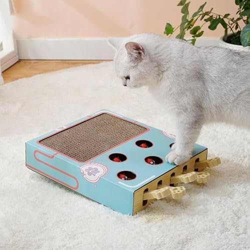 Katzen-Anreicherungsspielzeug für Hauskatzen, Whack A Mole-Spiel, Katzen-Puzzlespielzeug, Sichere Lustige Box mit Pfotenkratzer, Interaktive Box Zum Fangen von Mäusen, Katzen-Puzzlespielzeug(Blau)