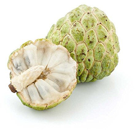 Sugar Apple 10 Samen, Cherimoya, Zimtapfel Delicious süße Früchte