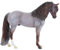 Brookside Pink Magnum - Spirit of the Horse
