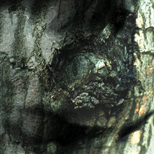 La Valse des Monstres/the Waltz of the Monsters