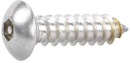 Reidl Sicherheitsschrauben Halbrundkopf Blechgewinde PIN Torx 4,2 x 32 mm A2 blank 100 Stück