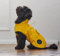 HUNTER Hunde-Regenmantel Milford, Farbe: gelb, ergonomische Passform für optimalen Schutz, individuell verstellbar, Reißverschluss für Geschirrträger, pflegeleicht & waschbar bei 30 °C, Größe: 80