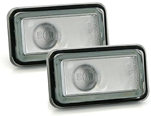 Eagle Eyes Seitenblinker Set in Silber