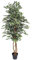 Blooming Artificial - Ficus Tree Artificial Plant, Large Fake Plant in Pot for House and Indoors, Year Round Decorative Realistic Faux Foliage (Variegated) (180cm/ 6ft)