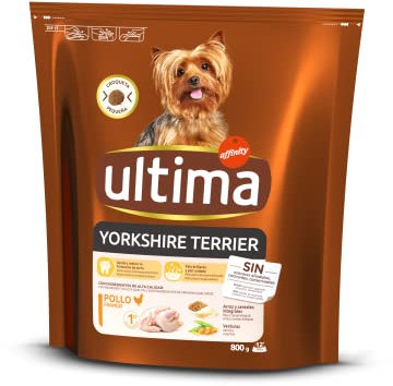 ultima Yorkshire Terrier, 1er Pack (1 x 800 g)