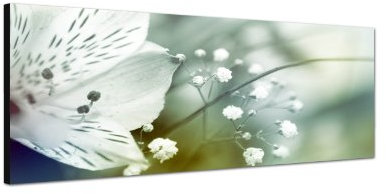 Augenblicke Wandbilder Keilrahmenbild Wandbild 150x50cm Blume Blüte Farbfilter abstrakt