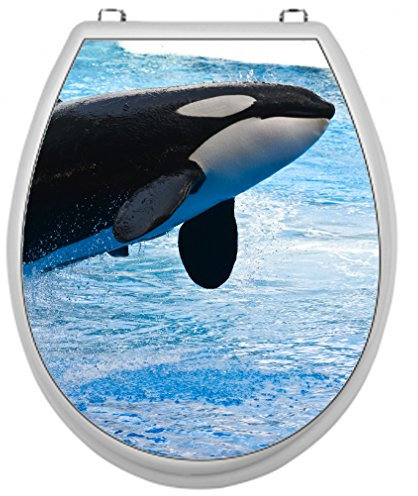 SHIRT-TO-GO Aufkleber für Toilettensitz Klodeckel Aufkleber WC Sitz Aufkleber - Motiv Orca