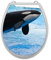 SHIRT-TO-GO Aufkleber für Toilettensitz Klodeckel Aufkleber WC Sitz Aufkleber - Motiv Orca