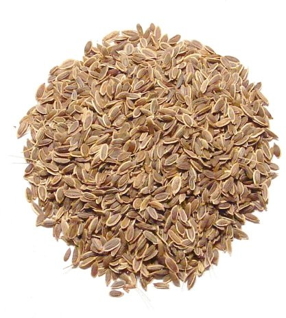 Dill Seed, Whole-1Lb-Whole Bulk Dill Seed