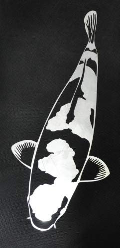 Kohaku Edelstahl 50cm