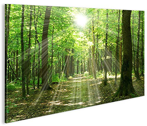 islandburner Bild Bilder auf Leinwand Sonnenstrahlen im Wald Bäume Spaziergang 1p XXL Poster Leinwandbild Wandbild Dekoartikel Wohnzimmer Marke